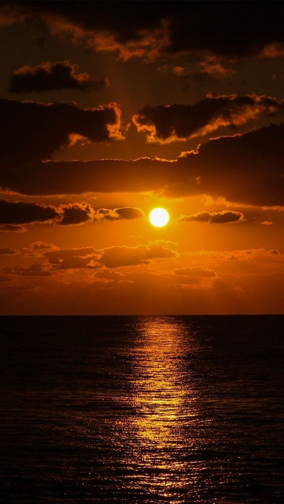 Allah'tan Ümit Kesilmez